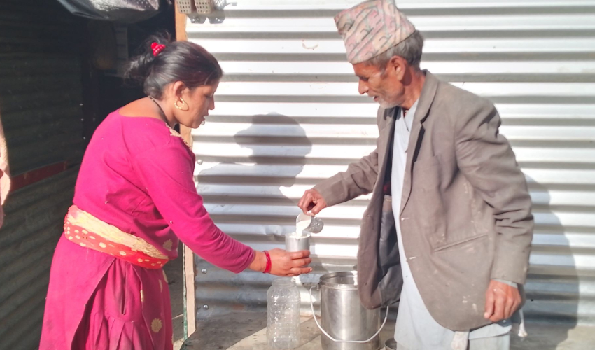 दुध बिक्री गरेर हिमालीका पाण्डेको मासिक ३० हजार आम्दानी