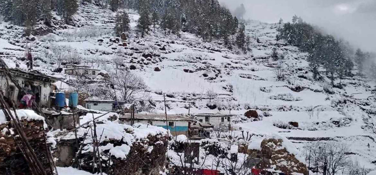 बाजुराको उच्च भेगमा वर्षासहित हिमपात, किसान उत्साहित